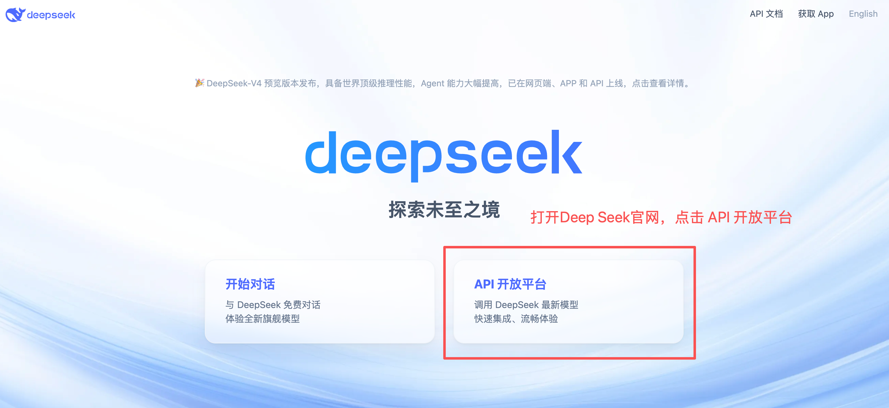 DeepSeek API 开放平台入口