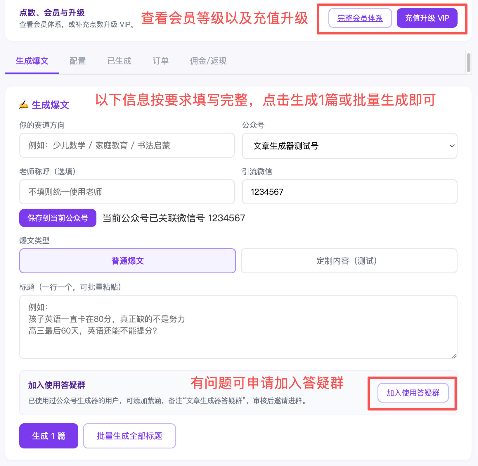 生成器配置页 API 配置入口示例